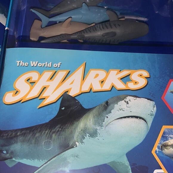 Pocket Explorers  - Picture 6 of 6